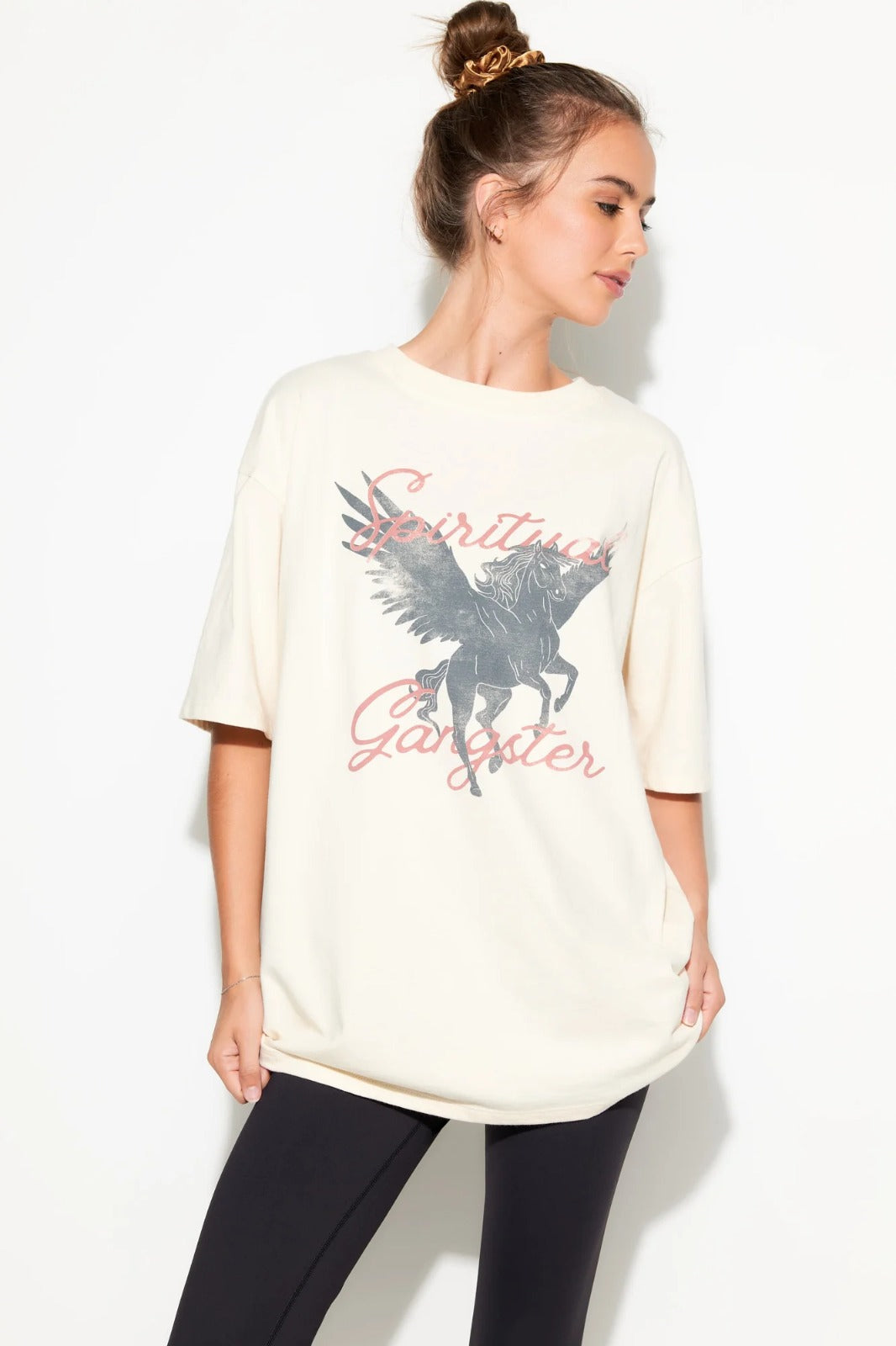 Pegasus Boyfriend Tee