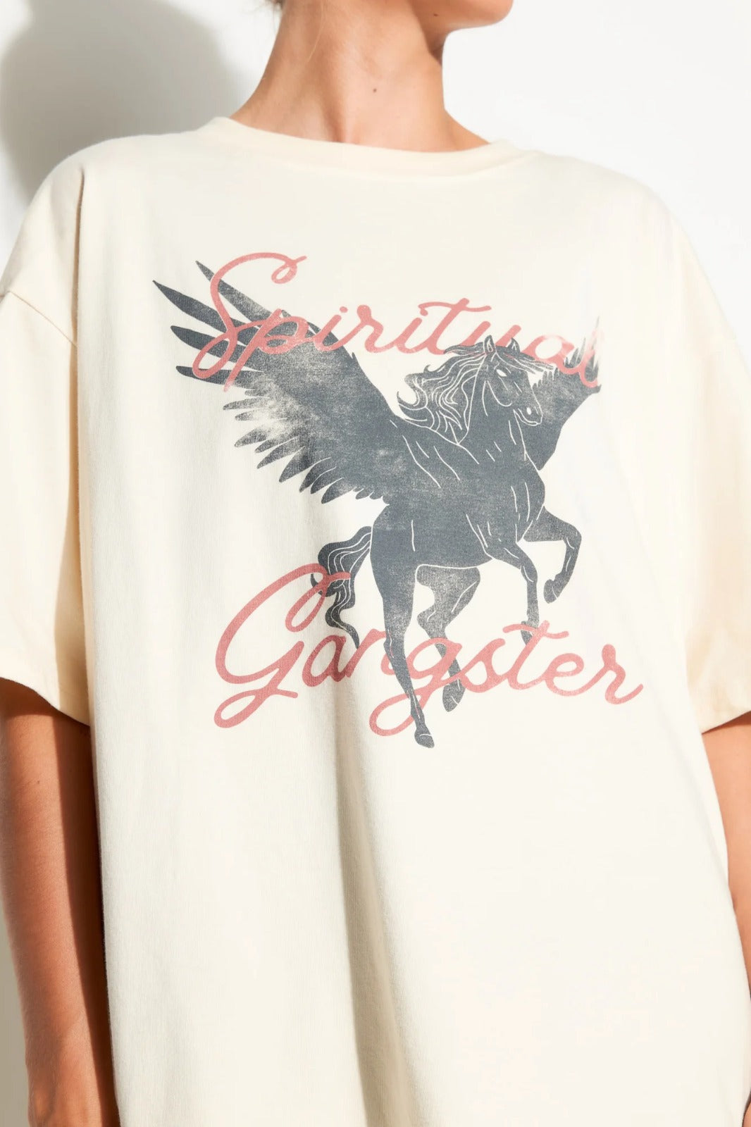 Pegasus Boyfriend Tee